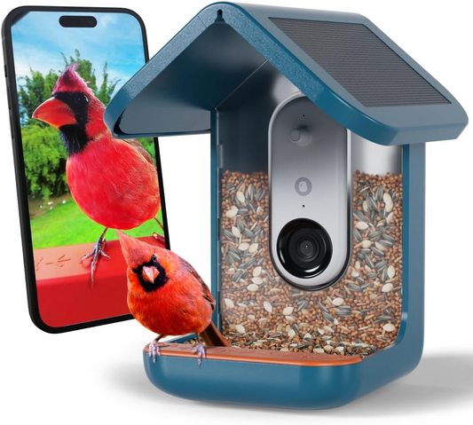 Birdbuddy Pro Solar