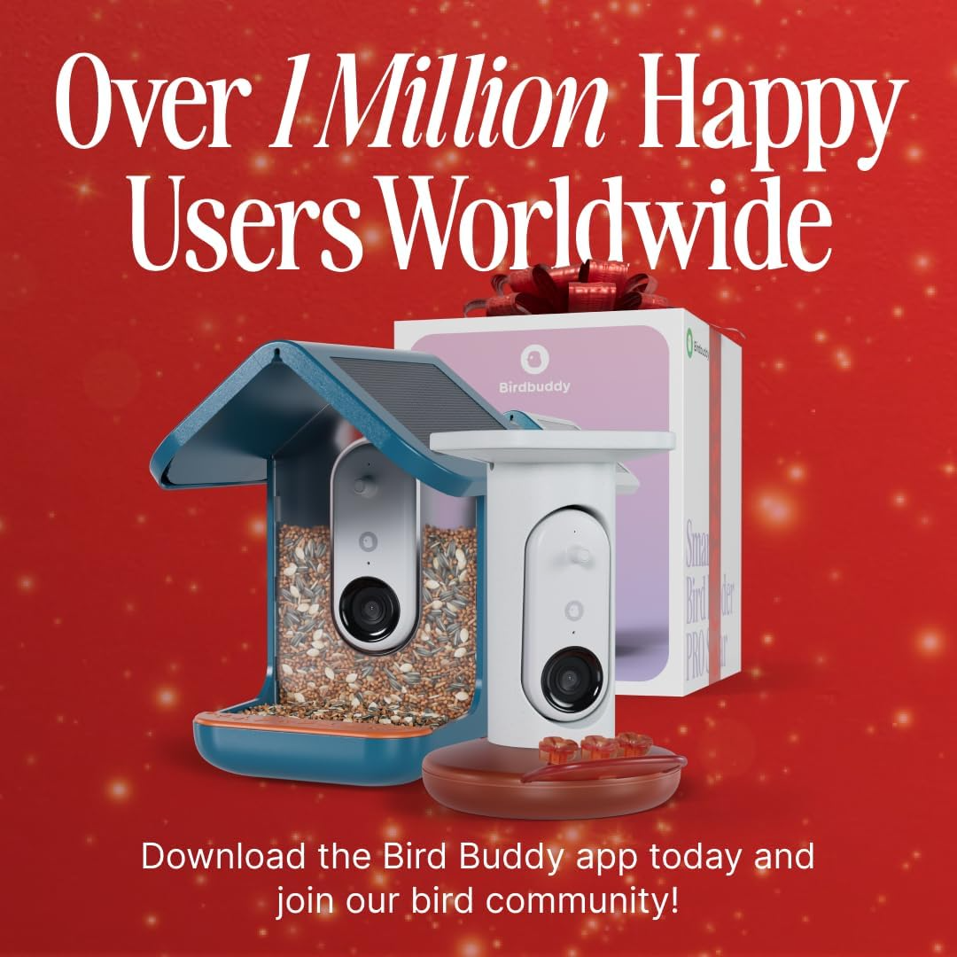 Birdbuddy Pro Solar