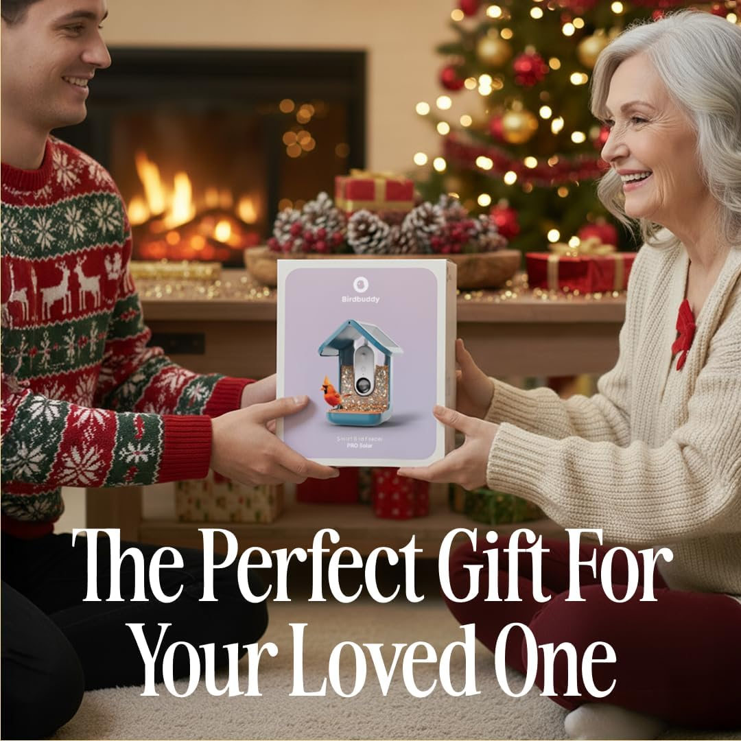Birdbuddy Pro Solar